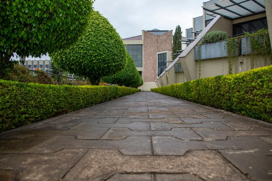 Allee de jardin entretenue, haies taillees